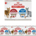 royal-canin-feline-health-nutrition-indoor-adult-thin-slices-in-gravy-and-morsels-in-gravy-variety-pack-3-oz-pack-of-12