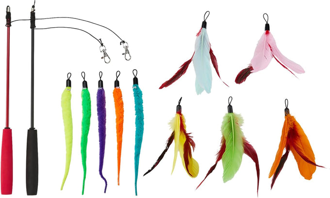 Amazon Basics 20-piece cat toy variety pack for kittens and cats, includes teaser, ball, feather, spring