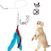 Jiaron 2PCS Retractable Cat Wand with 10PCS Bell Refill Teasers for Kitten Exercise