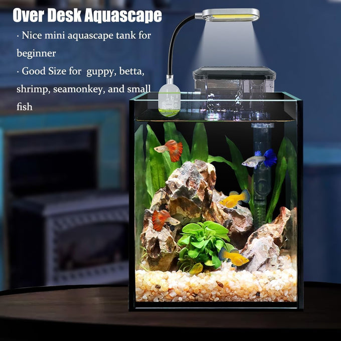 1.5 gallon nano glass aquarium starter kit for aquascape and small betta fish tanks