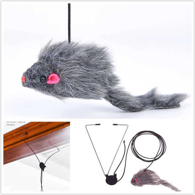 Kalimdor Retractable Interactive Cat Toys, Teaser Toy for Indoor Cats Kitten Play Chase Exercise (2 Pack)