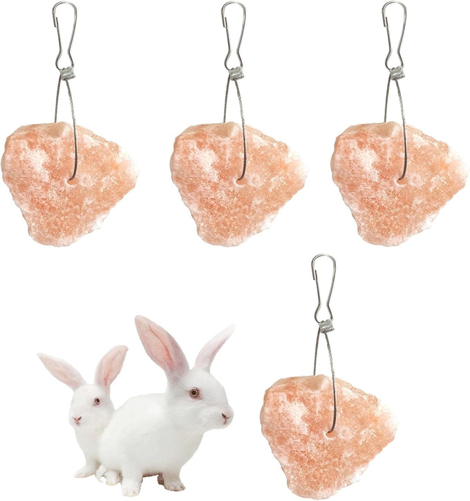 pvnby 4-piece himalayan salt blocks for small pets, natural mineral salts with hook hanging