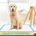 Immcute puppy pads 6-layer leak-proof 100 count 22x23 super absorbent pet training pads