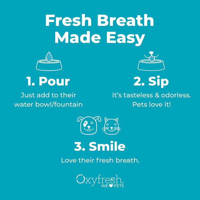 oxyfresh premium pet dental care solution 16 oz water additive for dogs and cats vet recommended