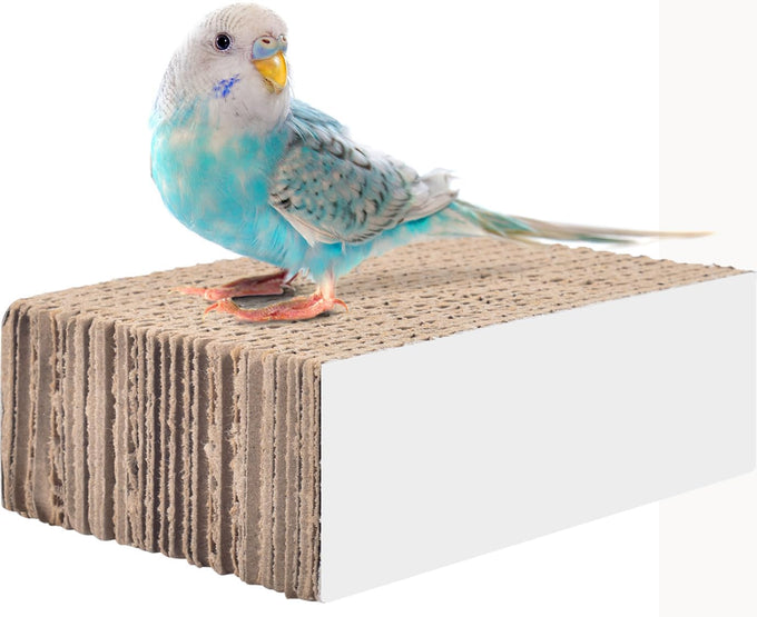 Katumo 7.8 Inch Paper Bird Chew Toy for Parakeet, Cockatiel, Conure, Budgie, Lovebird, and Small Birds