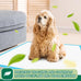 Immcute puppy pads 6-layer leak-proof 100 count 22x23 super absorbent pet training pads