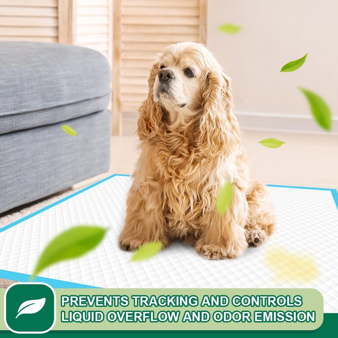 Immcute puppy pads 6-layer leak-proof 100 count 22x23 super absorbent pet training pads