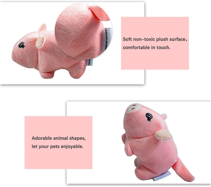 Legend Sandy Squeaky Plush Dog Toy Pack, 12 Soft Puppy Chew Toys with Squeakers for Small Medium Size Dogs
