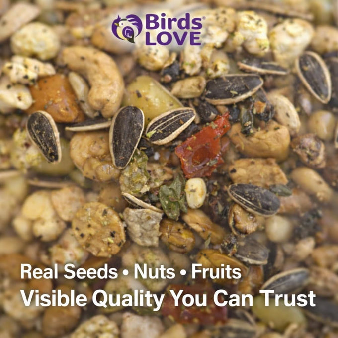 Parrots love all natural garden blend bird food 2lb, no artificial coloring or preservatives