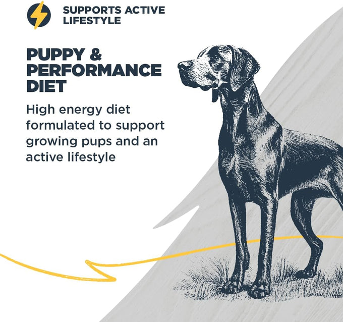 Blackwood Puppy & Performance Dry Dog Food, Chicken Meal