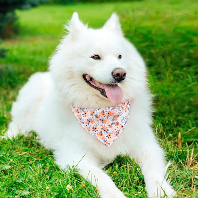 E-clover cute flower dog bandana with matching scrunchie for medium to large dogs - 27.5''x19.3''