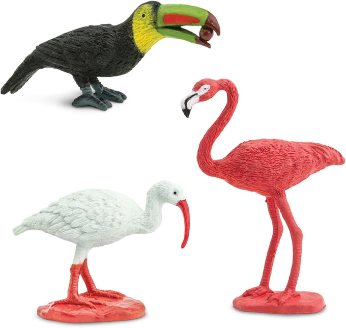 safari ltd exotic birds toob 10 figurines parakeet quetzal macaw hummingbird educational toy for kids