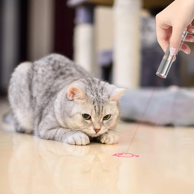 TB TeeK rechargeable cat toy with metal case, 7 adjustable patterns, USB charging, durable stainless steel shell