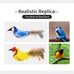 2-pack Catnip Cat Toys with Real Feather, Lifelike Chirp Sound for Indoor Hunting Instinct