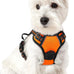 rabbitgoo dog harness no pull black large adjustable soft padded reflective oxford vest for labrador german shepherd