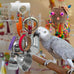 durable stainless steel parrot toys for medium birds amazons african greys eclectus