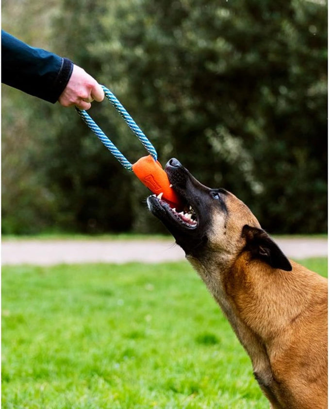 chuckit ultra bumper tug orange medium dog toy durable rubber floatable