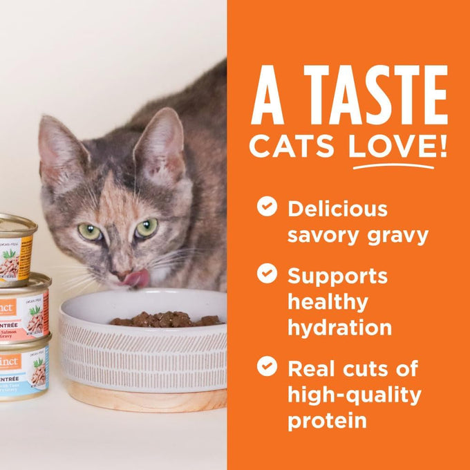 Instinct Flaked Entrée Wet Canned Cat Food Duck 5.5 Ounce Pack of 12 Grain Free High Protein