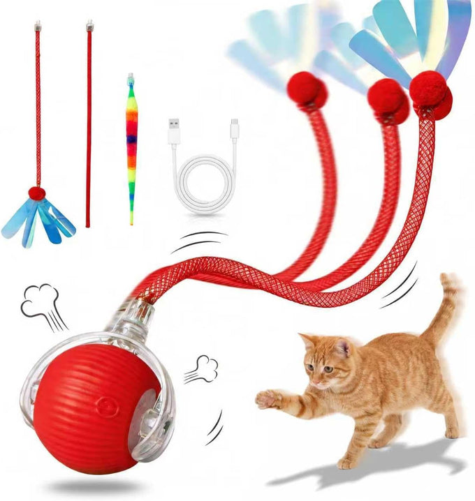 Rechargeable smart rolling cat ball with 3 modes, LED light and 3 replaceable accessories for kittens and adult cats