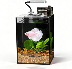 2.2 Gallon Ultra-Clear Nano Aquarium Starter Kit with LED Light and Filter