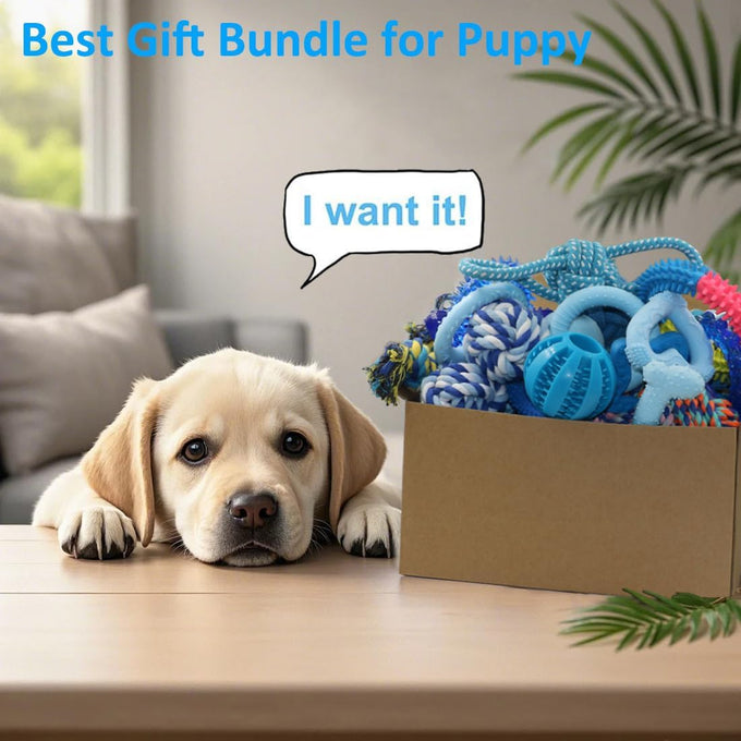 Beiker 20 Pack Blue Rubber Puppy Chew Toys with Teething Rings and Ropes for Small Breed Dogs