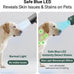 Professional dog grooming blower dryer for medium/small pets with IEC & UL certification, 2-speed and 3-heat settings
