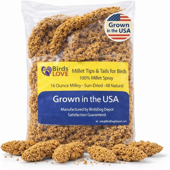 millet-tips-tails-for-parakeets-cockatiels-lovebirds-1lb-usa-grown