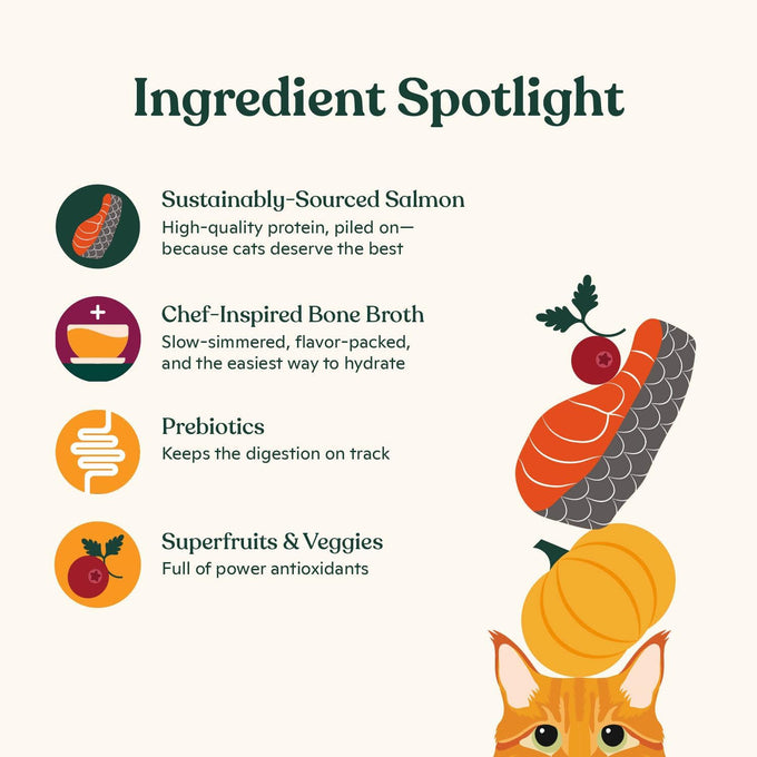 Made by Nacho Wet Cat Food in Sustainably-Caught Salmon with Bone Broth Gravy (12) 3 oz. Pouches