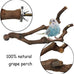 kathson natural parrot bird stand pole wild grape stick paw grinding fork parakeet climbing standing branches toy chewable cage accessories for small budgies cockatiels lovebirds set