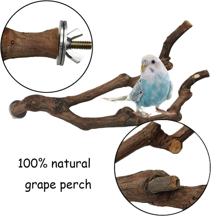 kathson natural parrot bird stand pole wild grape stick paw grinding fork parakeet climbing standing branches toy chewable cage accessories for small budgies cockatiels lovebirds set