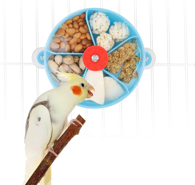 Bird Creative Foraging System Wheel Seed Food Ball Rotate Training Toy for Small Parrots