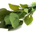 12 inch silk aquarium plants, artificial green decorations for fish tank, aquarium decor 2 pack