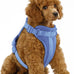 Wisedog No Pull Lightweight Adjustable Pet Vest Harness for Small Medium Large Dogs, Soft Cushion, Pine Green, Size S