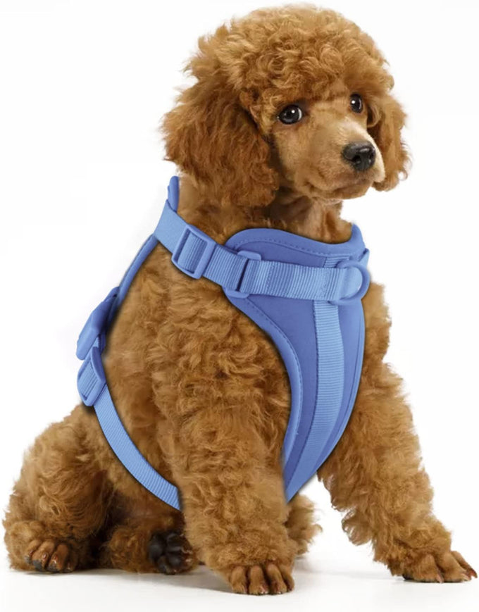 Wisedog No Pull Lightweight Adjustable Pet Vest Harness for Small Medium Large Dogs, Soft Cushion, Pine Green, Size S