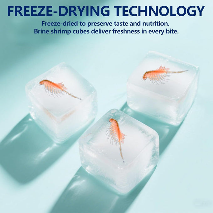 Freeze dried brine shrimp cubes 4.5 oz for tropical fish and marine fish high protein aquatic food