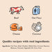 bocces-bakery-wheat-free-everyday-dog-treats-beef-cheddar-recipe-6-oz