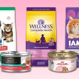 Cat Foods