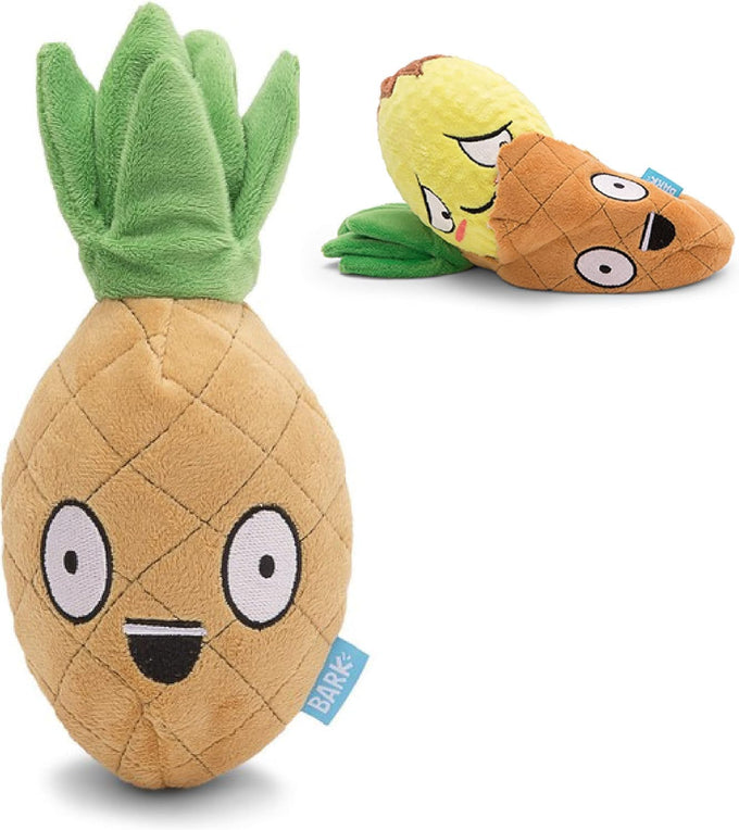 Andi's Dumpling Large 2 in 1 Interactive Dog Toy with Plush Exterior and Squeaker, Teaser Ball Inside for Large Dogs