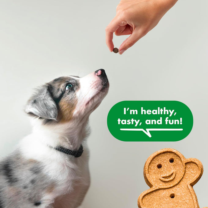 Buddy Biscuits Trainers Chicken Flavor Soft & Chewy 10 oz. Training Bites for Dogs Made in USA