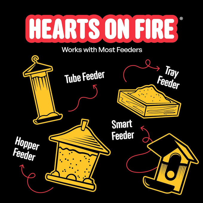 cool-birds-hearts-on-fire-hot-bird-seed-10-lb-100-hulled-sunflower-hearts-with-chili-pepper-oil