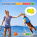 HolySteed Latex Dog Squeaky Toys for Small Dogs, 6pcs, Soft, Natural, Non-Toxic, Lead-Free, Chewing Teething Toy