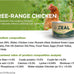ZEAL Canned Wet Dog Food - High Protein, Grain-Free