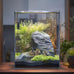 Vimvins 3 gallon ultra white glass fish tank for small aquariums with betta, snails, shrimp and aquatic plants