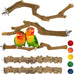 kathson natural parrot bird stand pole wild grape stick paw grinding fork parakeet climbing standing branches toy chewable cage accessories for small budgies cockatiels lovebirds set