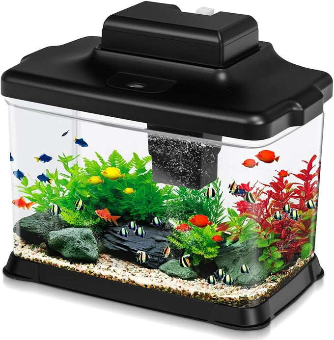 DaToo 1.6 Gallon Ultra-Clear Fish Tank Aquarium Starter Kit with LED Lighting and Filter System for Small Fish and Shrimp