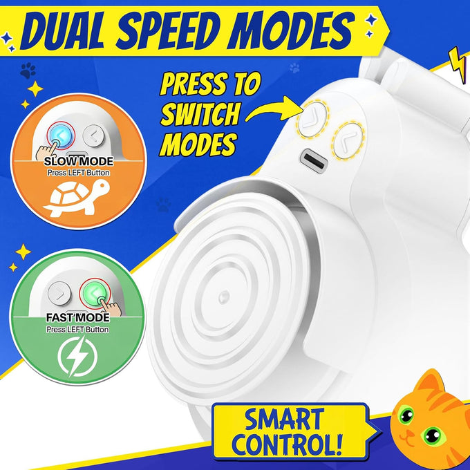 Automatic Flying Bird Feather & Mouse Wand Cat Toy for Indoor Cats, Hands-Free USB-Rechargeable Safe Play Chase Exercise