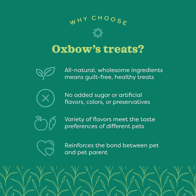 Oxbow Simple Rewards Timothy Hay Guinea Pig & Bunny Treats, 3 oz Bag, Natural Pet Snack, Made in USA