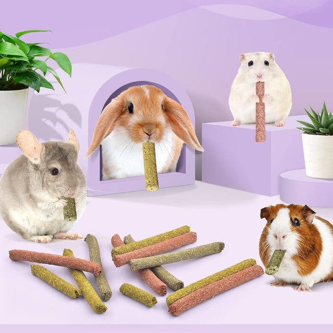 Bissap 36PCS natural timothy hay oat carrot bunny chew toys and treats for rabbits bunnies chinchillas guinea pigs hamsters and small animals