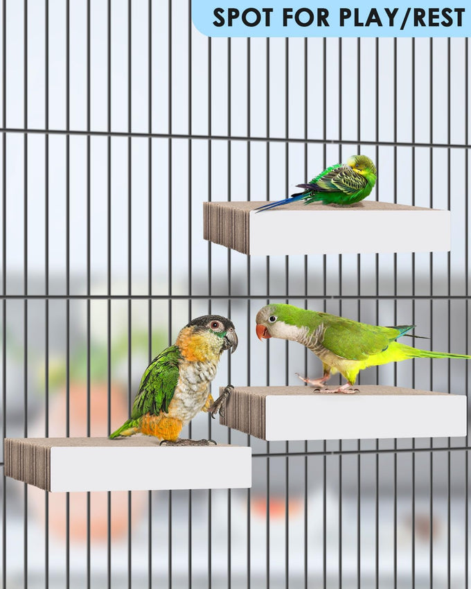 Katumo 7.8 Inch Paper Bird Chew Toy for Parakeet, Cockatiel, Conure, Budgie, Lovebird, and Small Birds