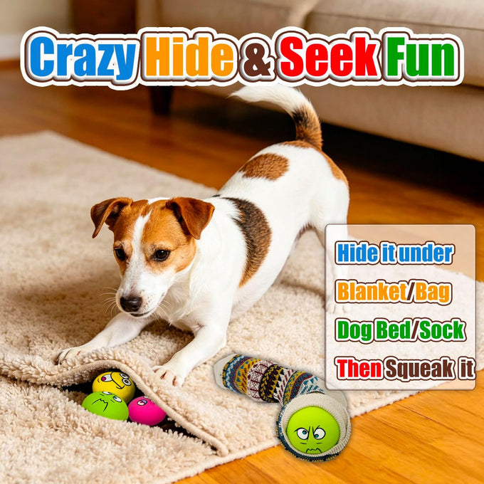 HolySteed Latex Dog Squeaky Toys for Small Dogs, 6pcs, Soft, Natural, Non-Toxic, Lead-Free, Chewing Teething Toy
